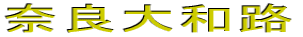 ޗǑaH̕