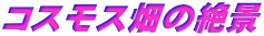 RXX̐i